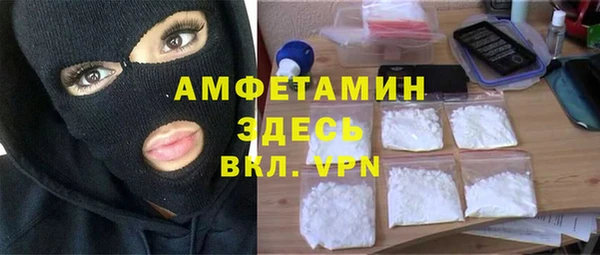 ПСИЛОЦИБИНОВЫЕ ГРИБЫ Вязники